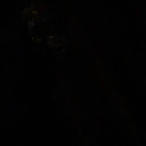 Meet your Posher, Dennis